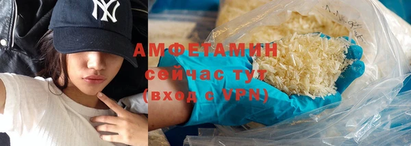 МДПВ Бородино