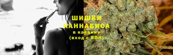 СК Бронницы