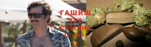 МДПВ Бородино