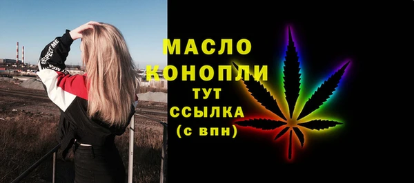 МДПВ Бородино