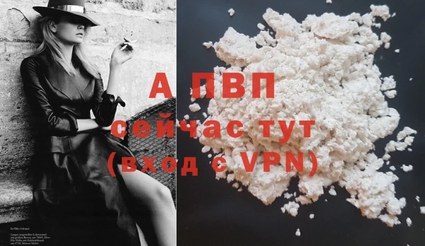 МДПВ Бородино