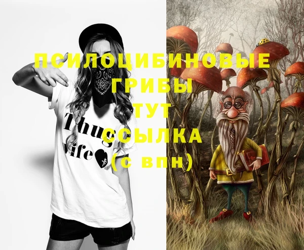 МДПВ Бородино