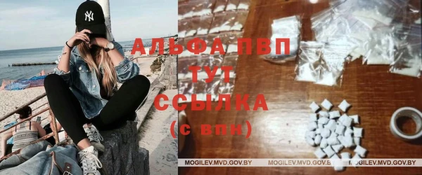 МДПВ Бородино