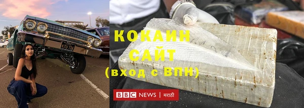 МДПВ Бородино