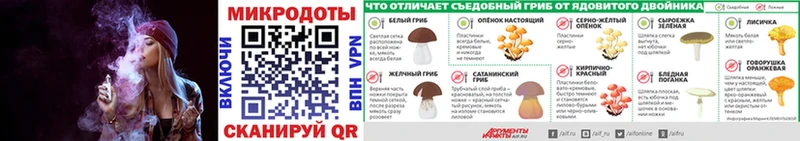 Галлюциногенные грибы Magic Shrooms  MEGA вход  Дубовка 